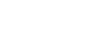 DSL-logo (1)