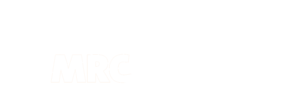 logorenversedev